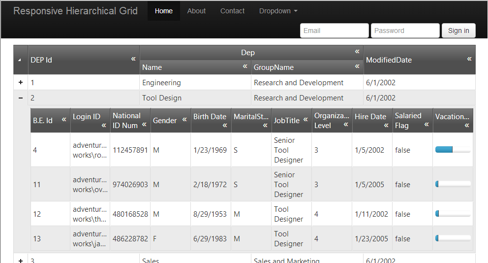 Devexpress Hierarchical Grid