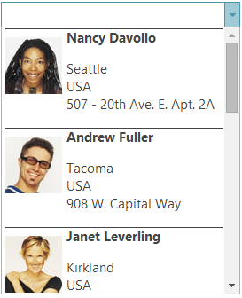 Ignite UI igCombo with Underscore.js Ignite UI igCombo with Underscore.js