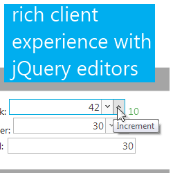 jQuery editors for rich client experience